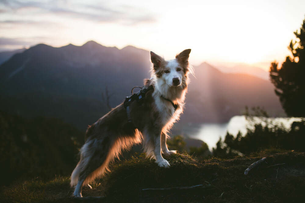 Emotion Photo - Fotografie Bianca Kothe (Emotion Photo - Fotografie Bianca Kothe)