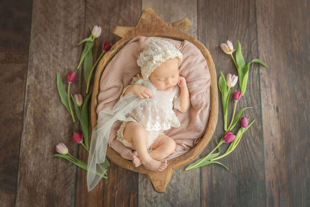 Ein Fr&uuml;hlingsgru&szlig; (Anna-Christin Fotografie & Design)