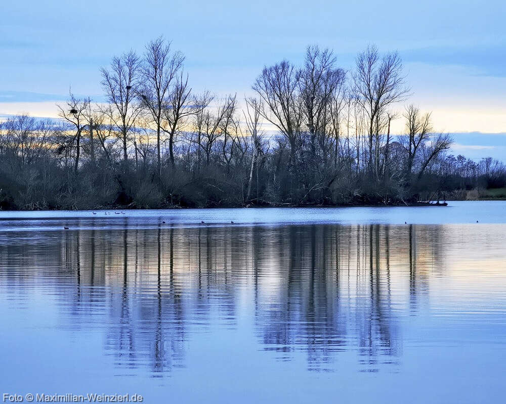 Maximilian Weinzierl