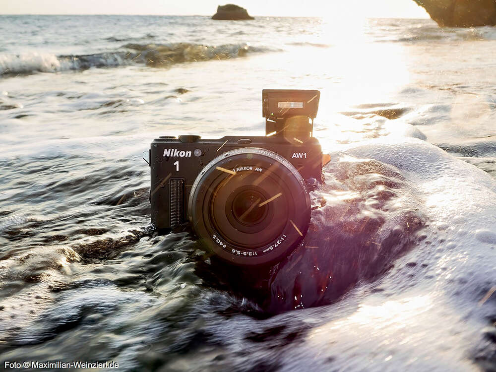 Maximilian Weinzierl