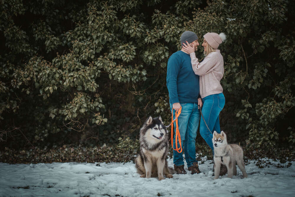 Louis Ziehn (Louis Ziehn)