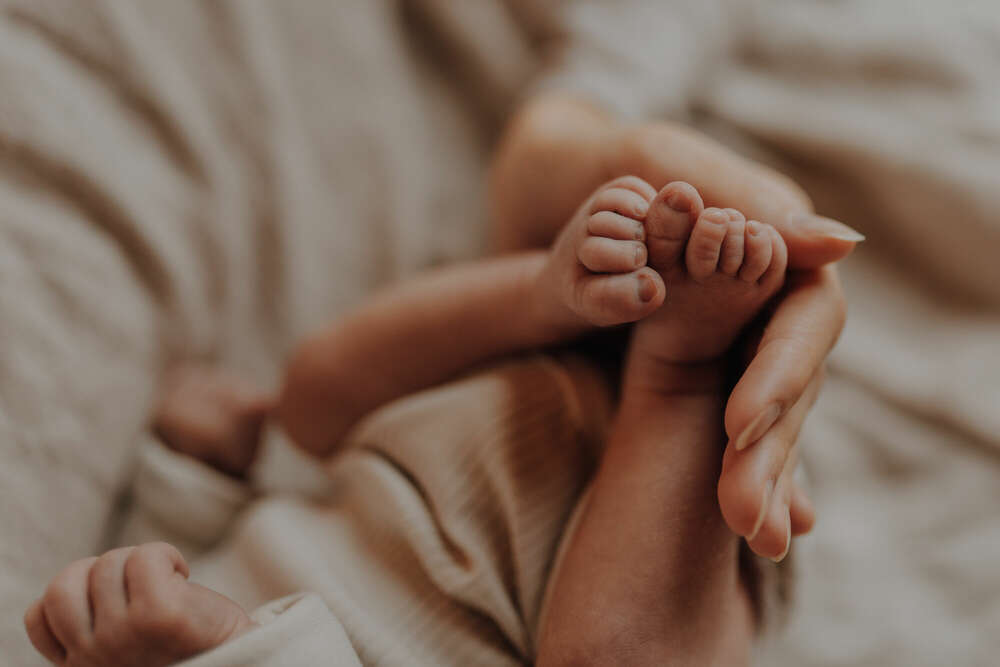 zweischwestern fotografie (zweischwestern fotografie)