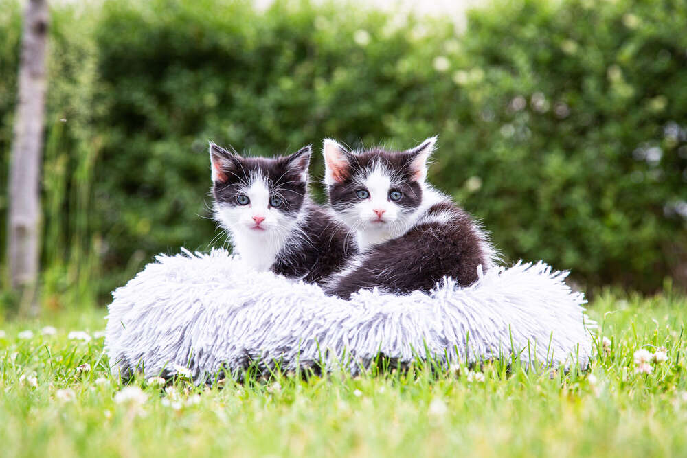 Fotografie Vanessa Mertens (Fotografie Vanessa Mertens)