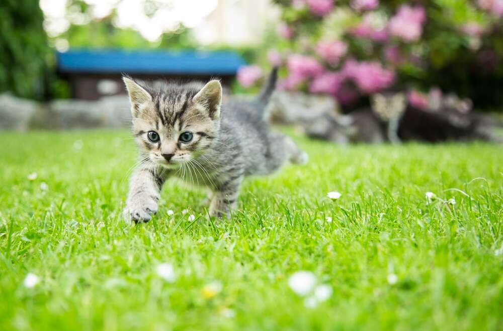 Fotografie Vanessa Mertens (Fotografie Vanessa Mertens)