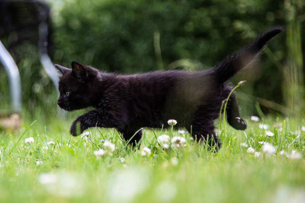 Fotografie Vanessa Mertens (Fotografie Vanessa Mertens)