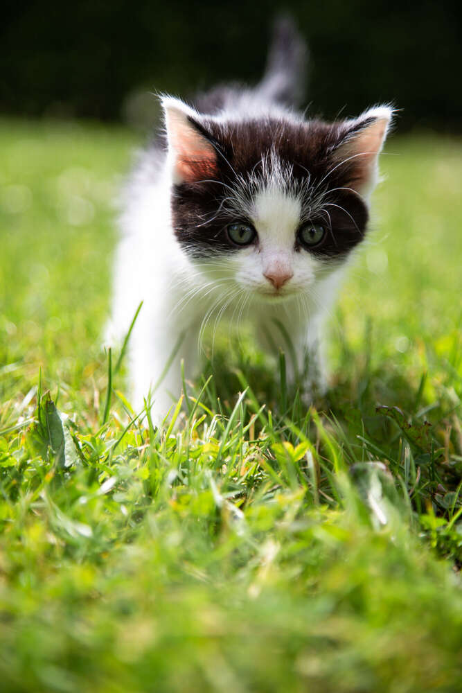 Fotografie Vanessa Mertens (Fotografie Vanessa Mertens)