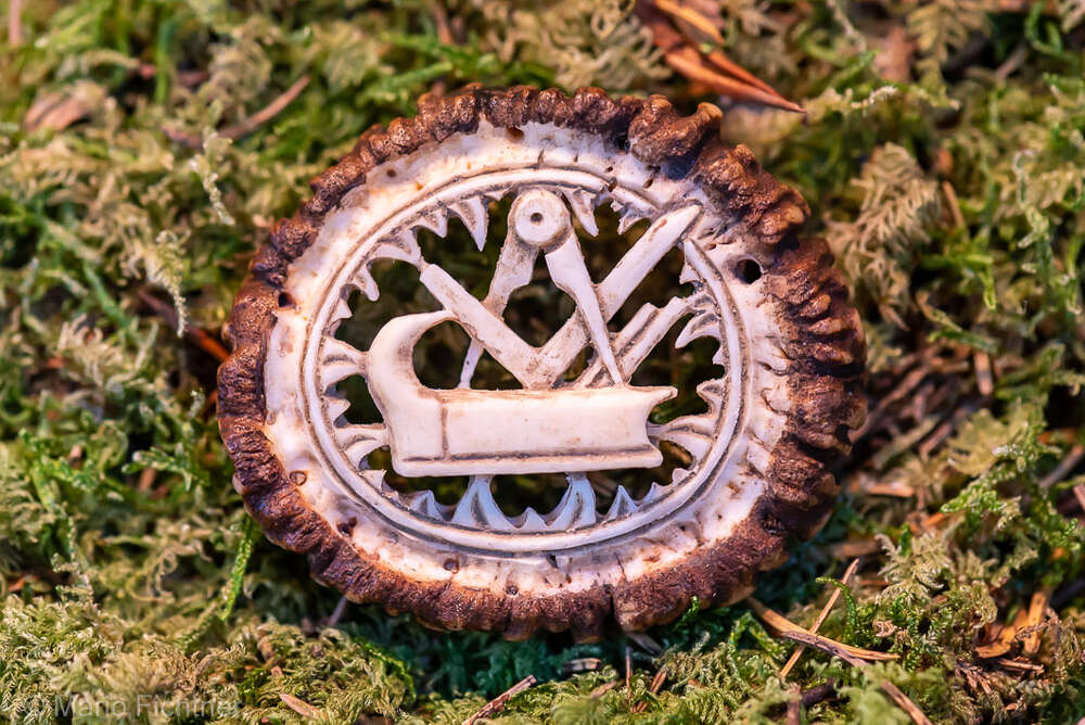 Produkt mit Hintergrund (Fichtner Fotodesign)