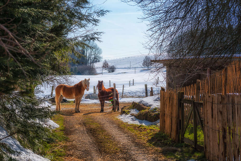 Bei jedem Wetter (Fichtner Fotodesign)