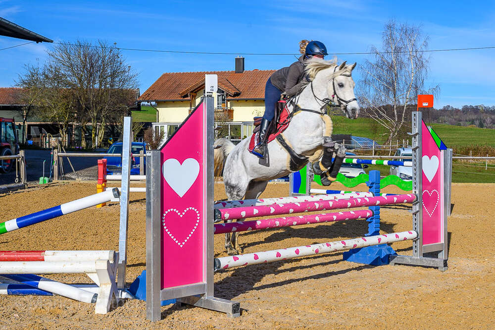 Reitsport (Fichtner Fotodesign)