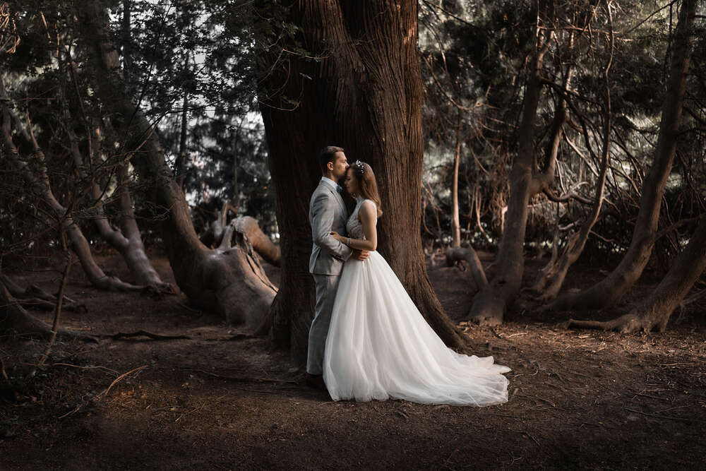 Brautpaarshooting (Ervin Filipich Fotograf)