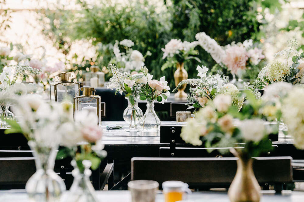 Anna Fiolka (Anna Fiolka)