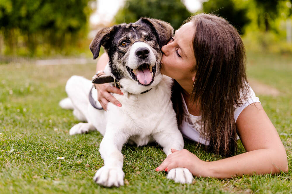 Familie mit Hund III (May-Pictures)