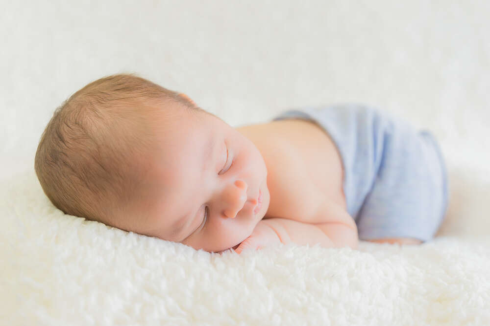 Petite Fotografie (Petite Fotografie)