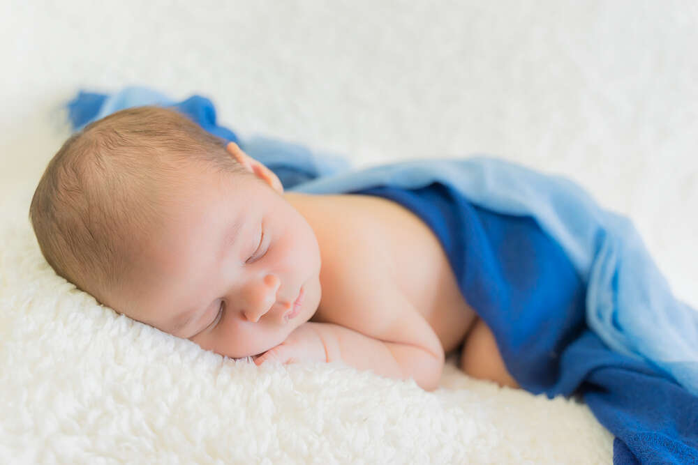 Petite Fotografie (Petite Fotografie)