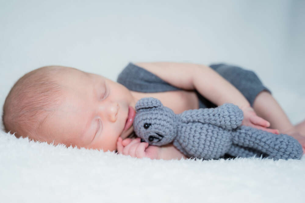 Petite Fotografie (Petite Fotografie)