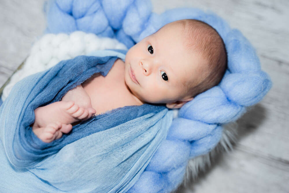 Petite Fotografie (Petite Fotografie)