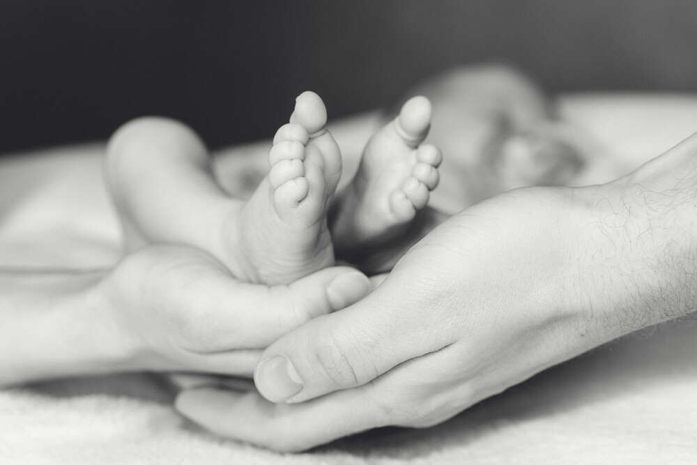 Petite Fotografie (Petite Fotografie)