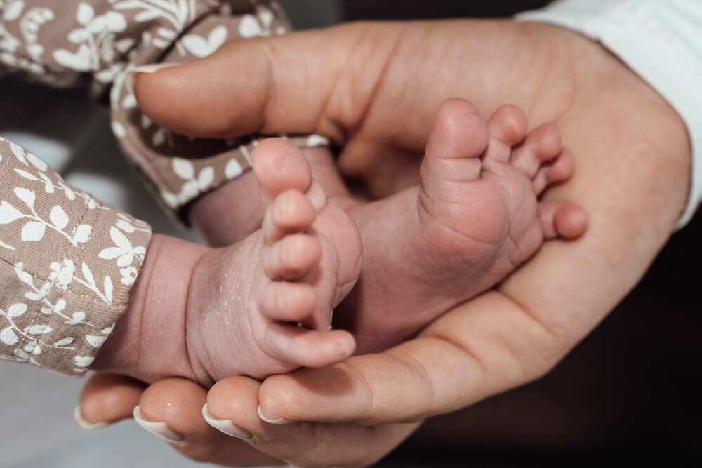 Petite Fotografie (Petite Fotografie)