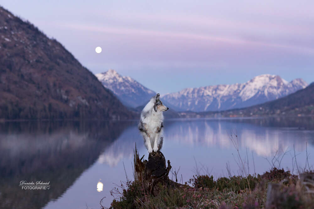 Daniela.Schmid.Fotografie