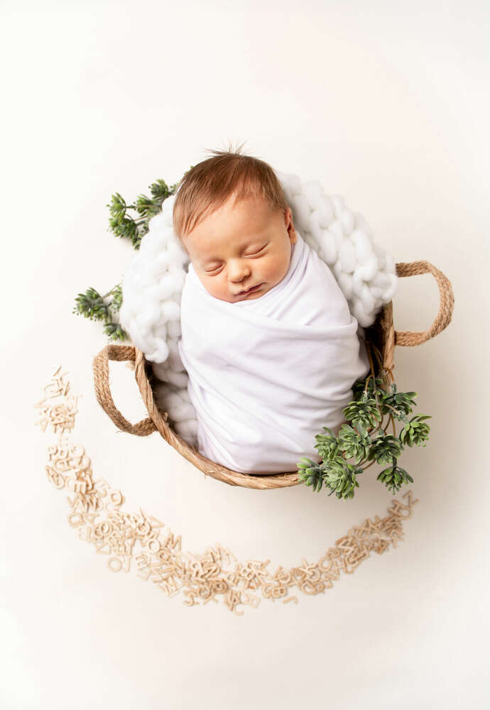 Neugeborenes (Foto Art Kassel)