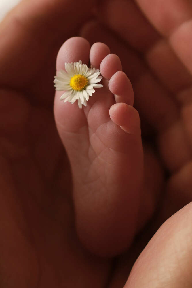 FotoArtKassel (Foto Art Kassel)