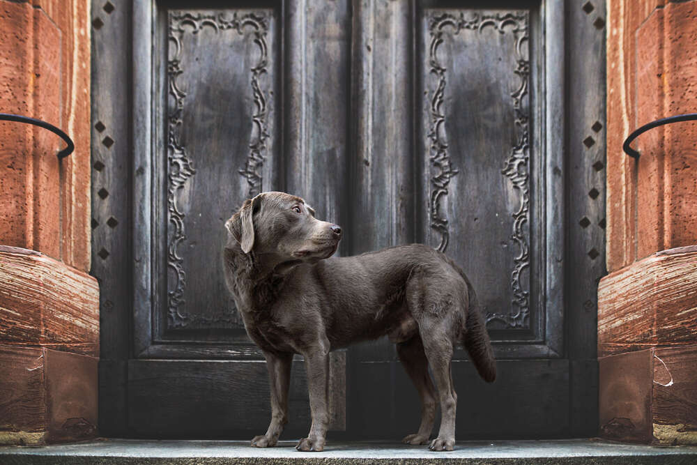 Benniko (Bilderwelt JC)