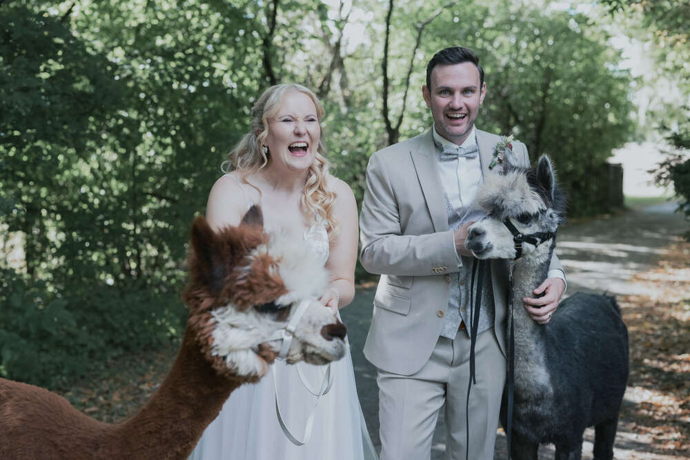 authentische Hochzeitsfotos mit Alpakas....