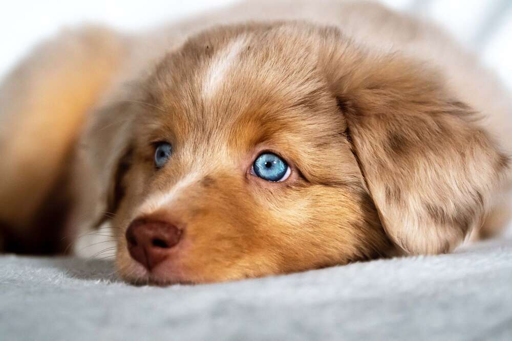 Sabrina Hopstein Photography