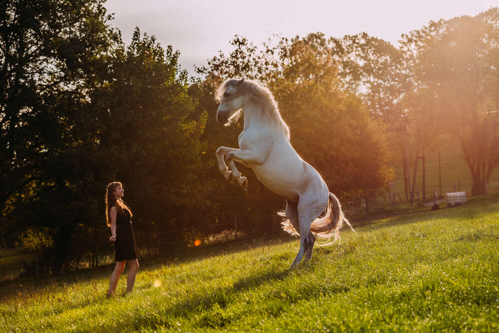 Celina Irle Fotografin - PetrolArt (Celina Irle Fotografin - PetrolArt)