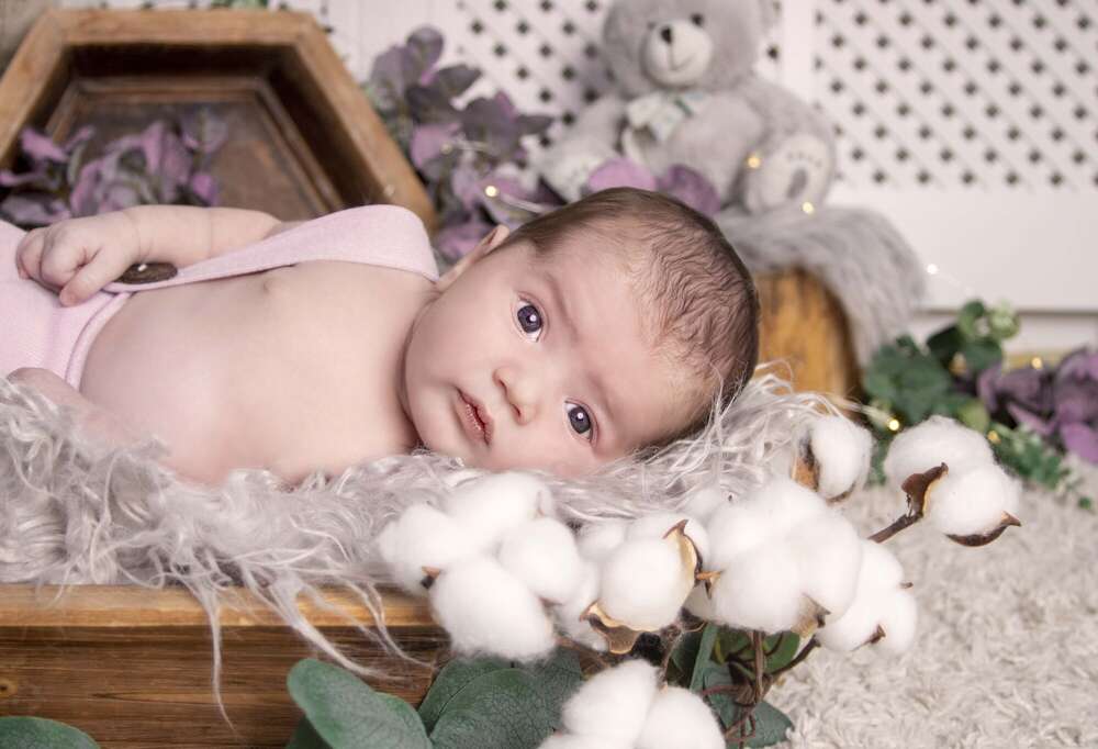 Gin.Photo (Gin.Photo)