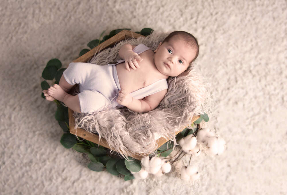 Gin.Photo (Gin.Photo)