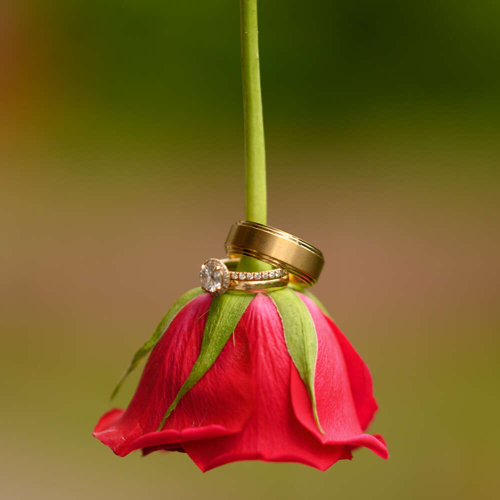 Aziz Kolanj Photography (Aziz Kolanj Photography)