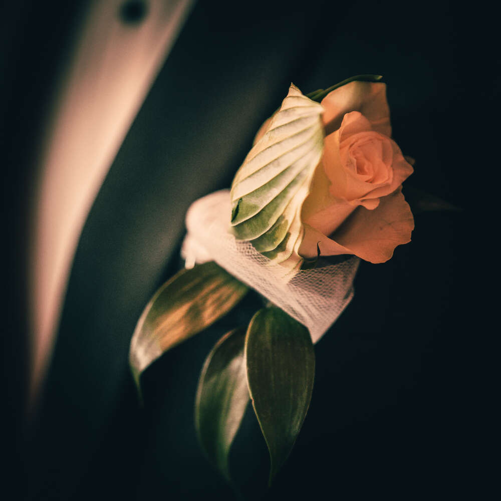 Aziz Kolanj Photography (Aziz Kolanj Photography)