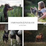 Stupsnasen Fotografie 