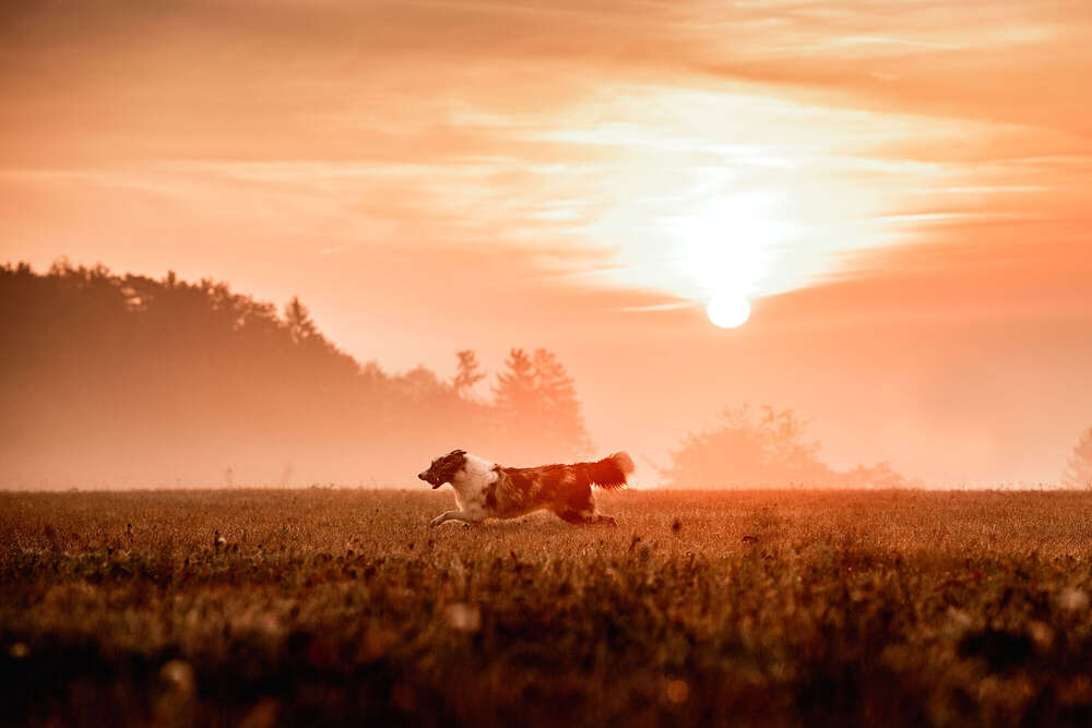 Photographie - Petra Meßmer 