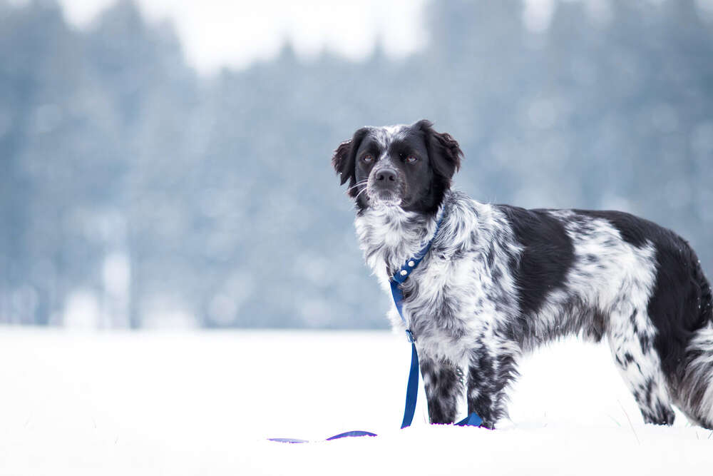 sofiekatharinafotografie