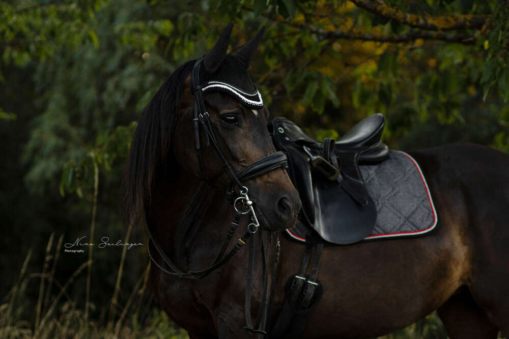 Nina Zeilinger Photography (Nina Zeilinger Photography)