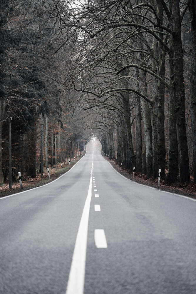 Florian Hübsch Fotografie (Florian Hübsch Fotografie)