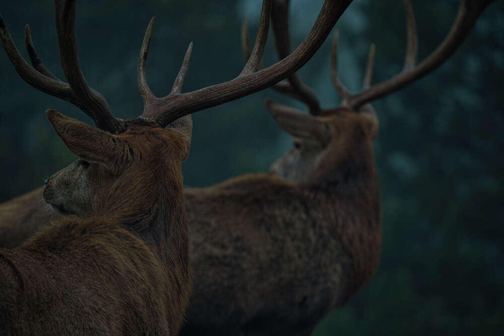 Florian Hübsch Fotografie (Florian Hübsch Fotografie)