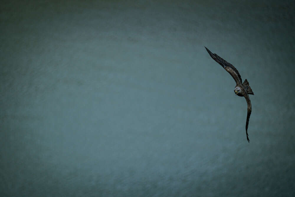 Florian Hübsch Fotografie (Florian Hübsch Fotografie)