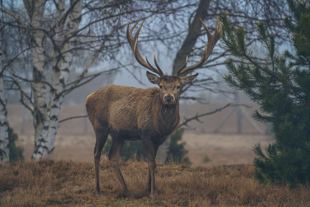 Florian Hübsch Fotografie (Florian Hübsch Fotografie)