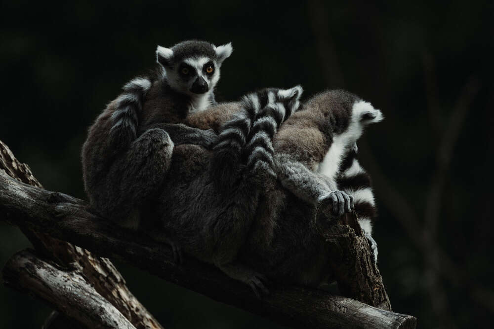 Florian Hübsch Fotografie (Florian Hübsch Fotografie)