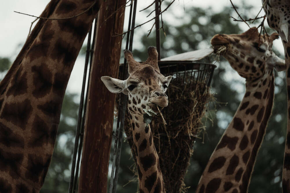 Florian Hübsch Fotografie (Florian Hübsch Fotografie)