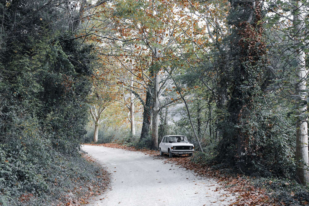 Florian Hübsch Fotografie (Florian Hübsch Fotografie)