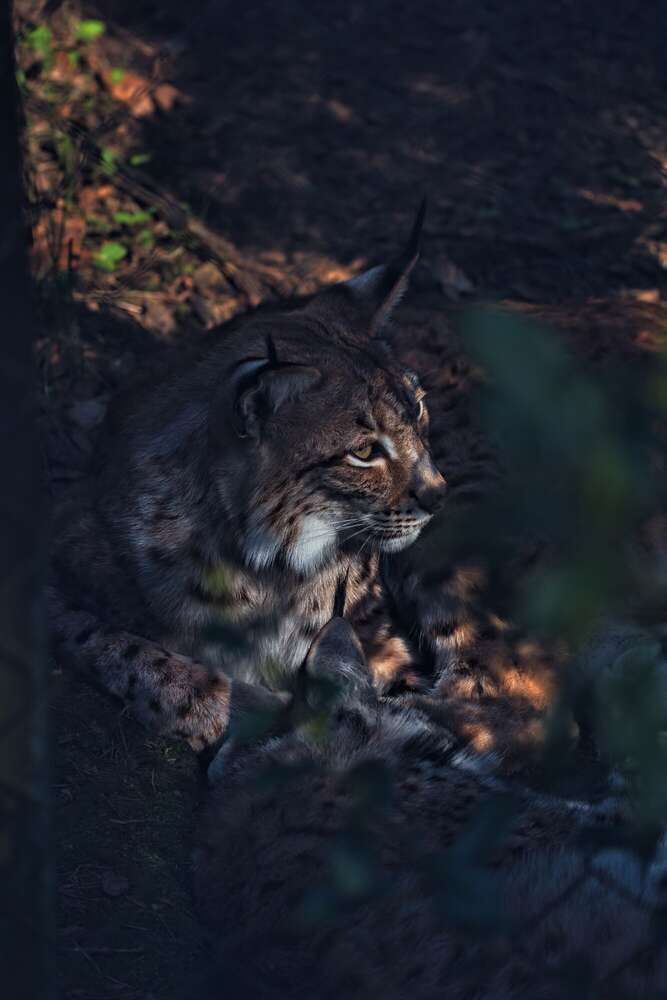 Florian Hübsch Fotografie (Florian Hübsch Fotografie)
