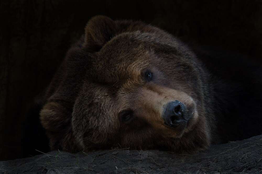 Florian Hübsch Fotografie (Florian Hübsch Fotografie)