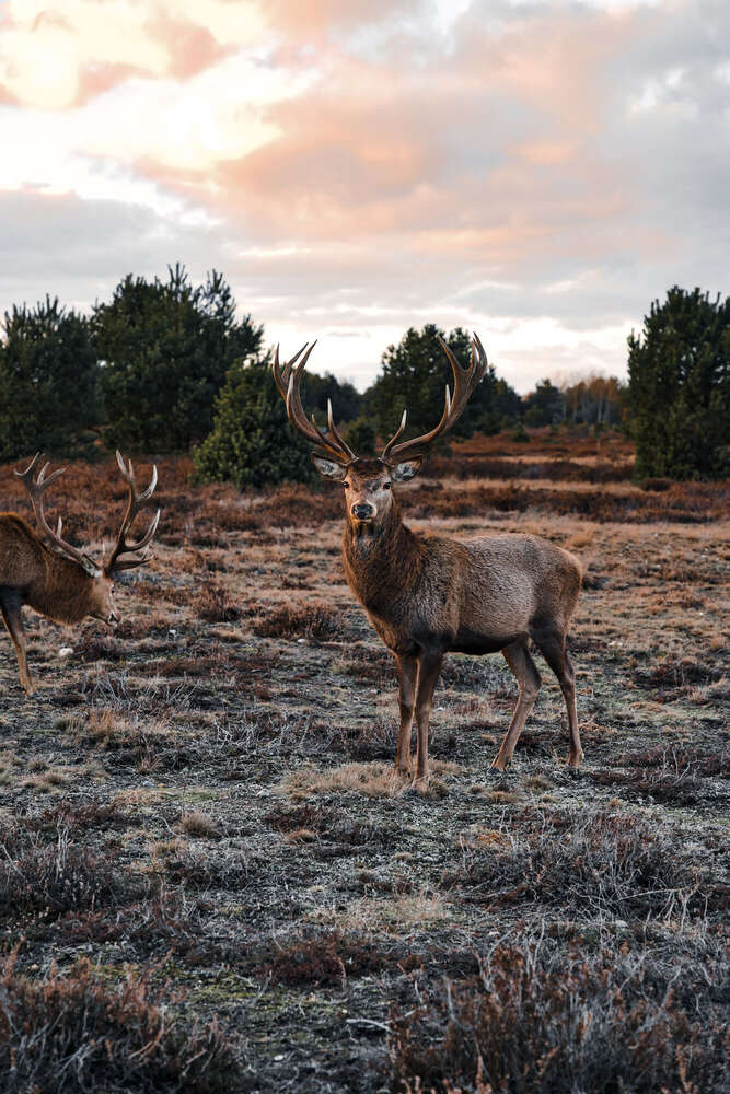 Florian Hübsch Fotografie (Florian Hübsch Fotografie)