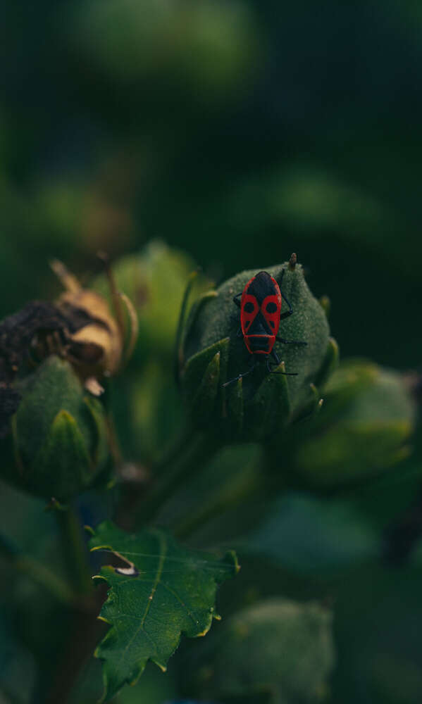 Florian Hübsch Fotografie (Florian Hübsch Fotografie)