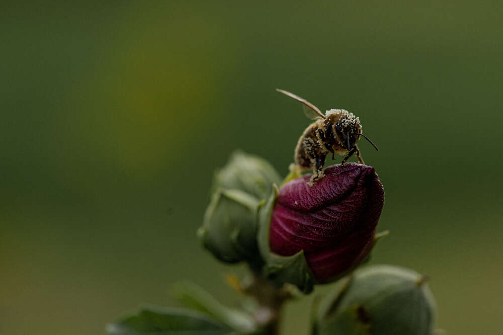 Florian Hübsch Fotografie (Florian Hübsch Fotografie)