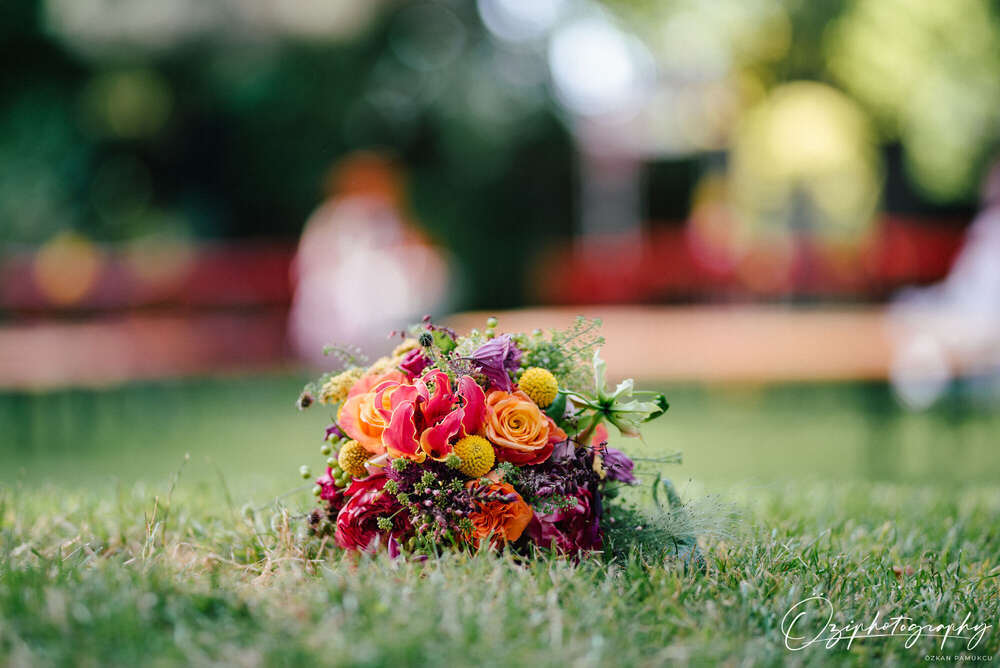 Öziphotographyo (Öziphotographyo)